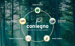 STUDIO DEL POLITECNICO DI MILANO SULL�IMPATTO AMBIENTALE DEL PALLET 